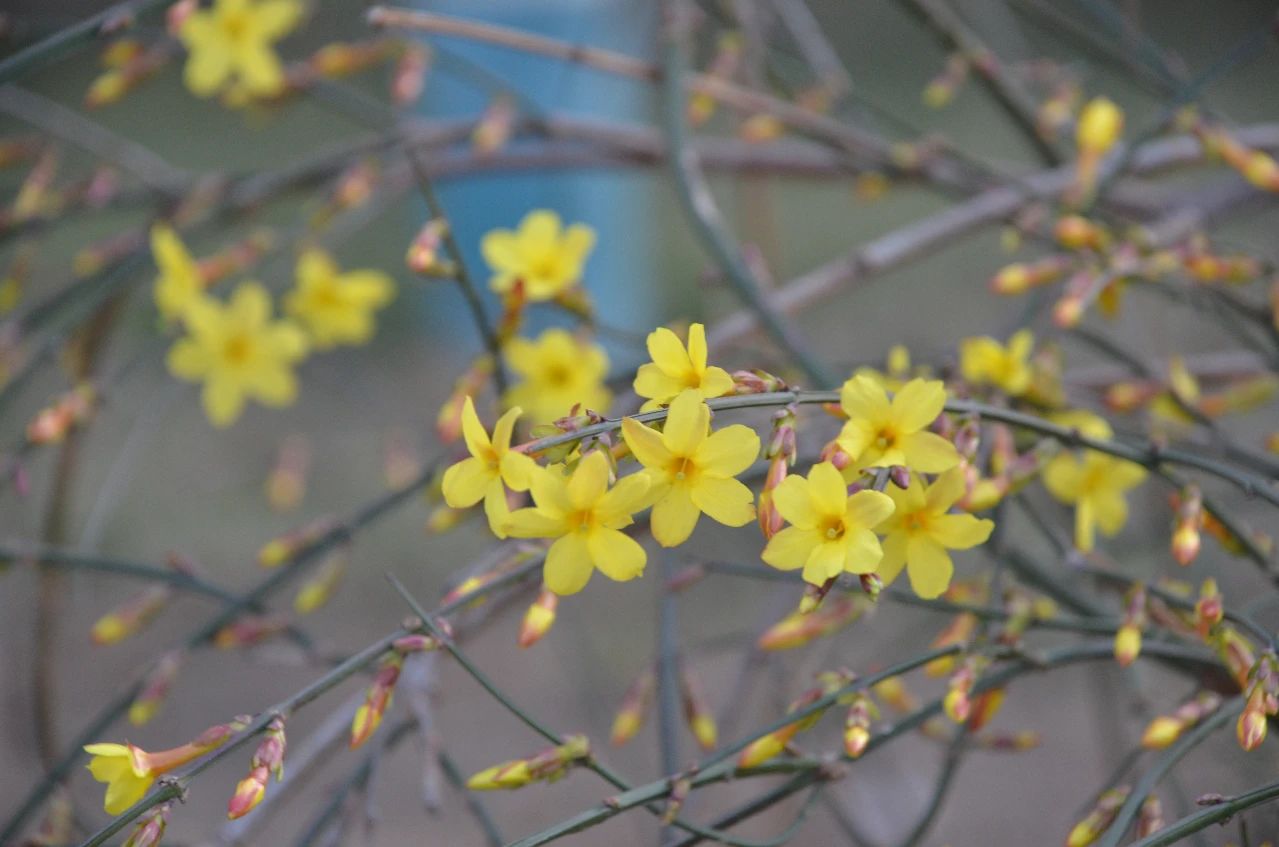 海洋之神·hy590(中国)最新官方网站