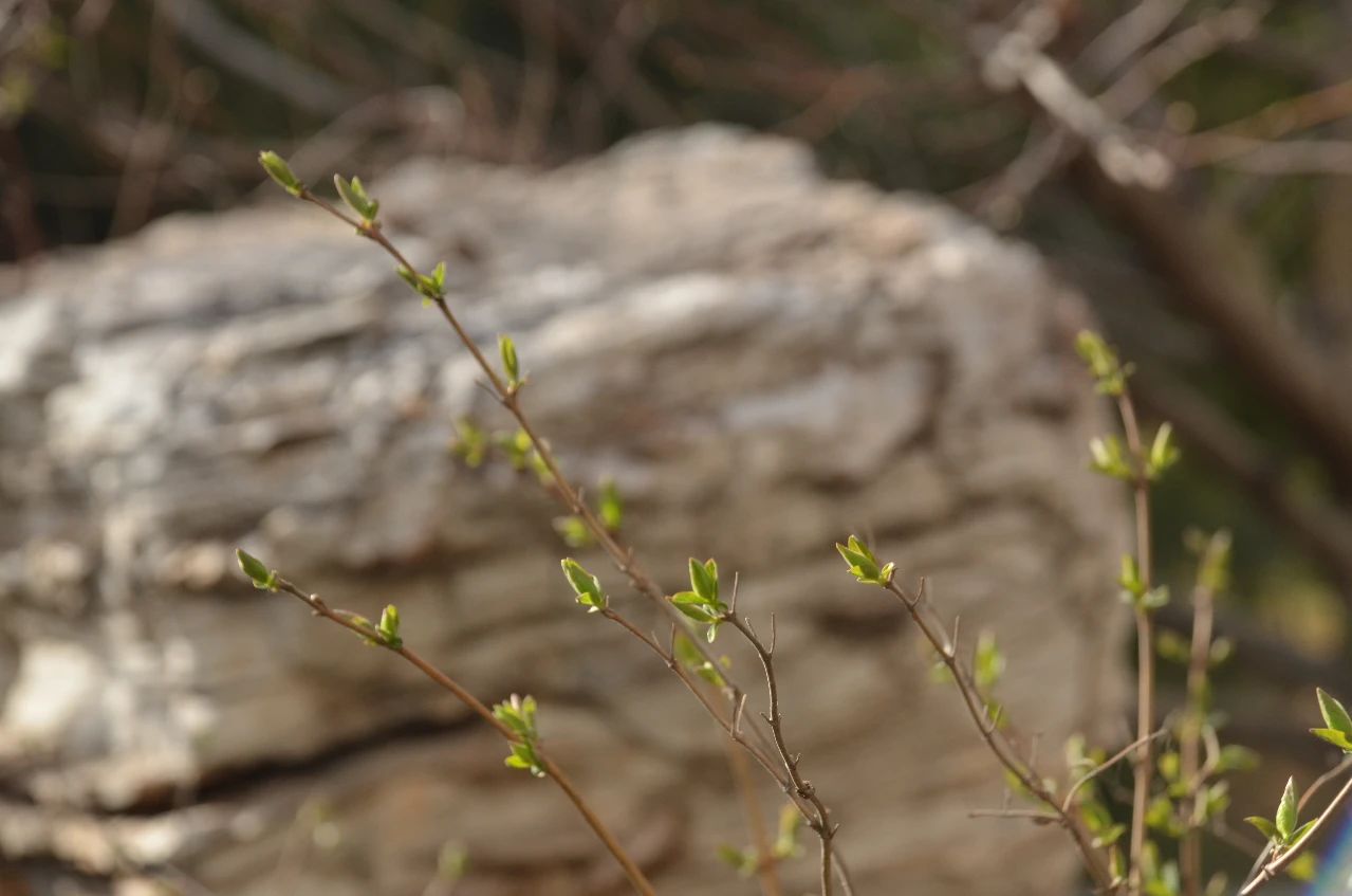 海洋之神·hy590(中国)最新官方网站
